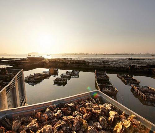 Villa Ker Goh Velin à Saint-Gildas-de-Rhuys Extérieur photo